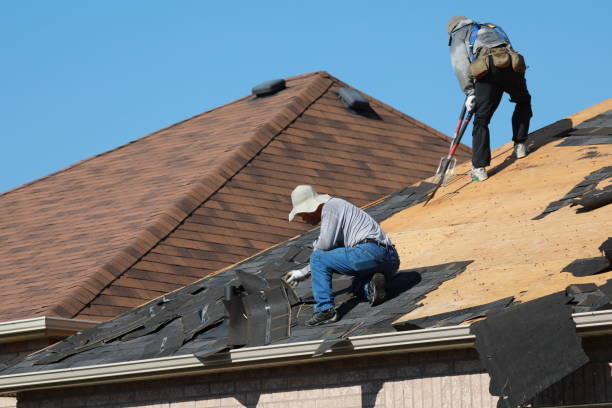 Best Roof Maintenance and Cleaning  in Eagle Grove, IA