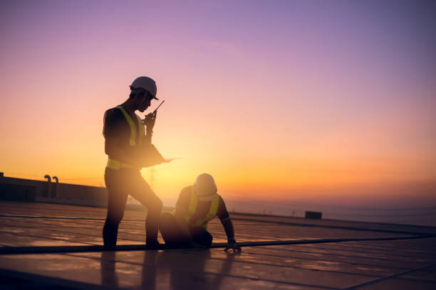 Best Chimney Flashing Repair  in Eagle Grove, IA