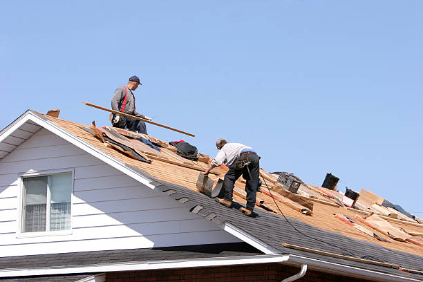 Best Wood Shake Roofing  in Eagle Grove, IA